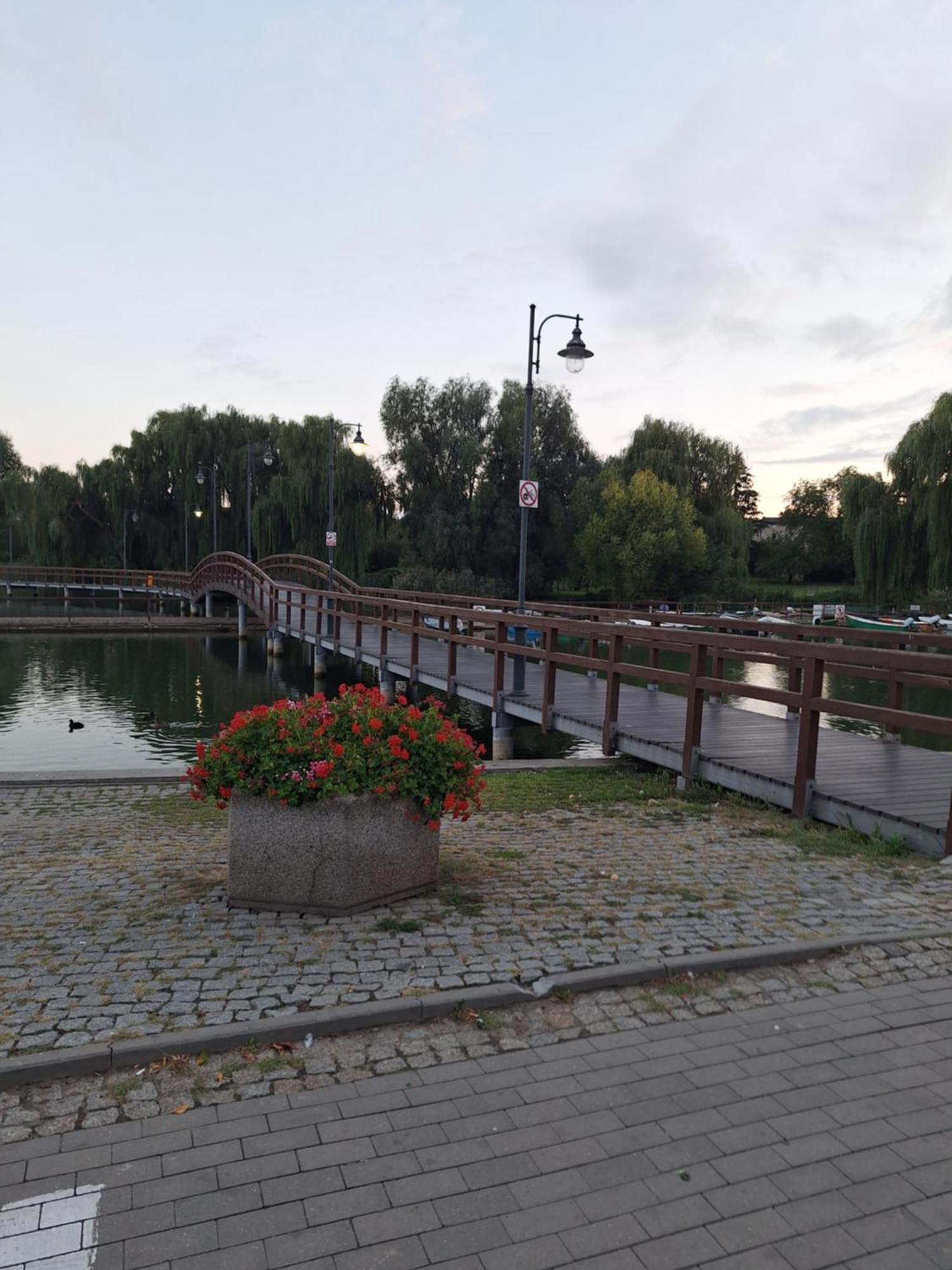 Apartament Chełmża Eksteriør billede